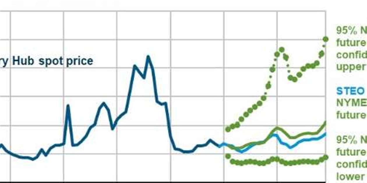 美国能源信息署：天然气产量和价格可能保持相对平稳。 - CompressorTECH²