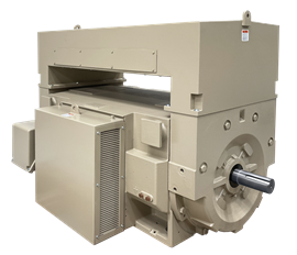 Wolong Quantum 500F motor